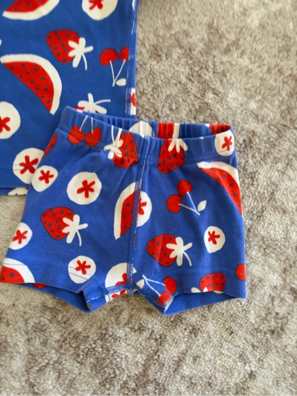Hanna Andersson Blue Red White Fruit Print Pajama Set